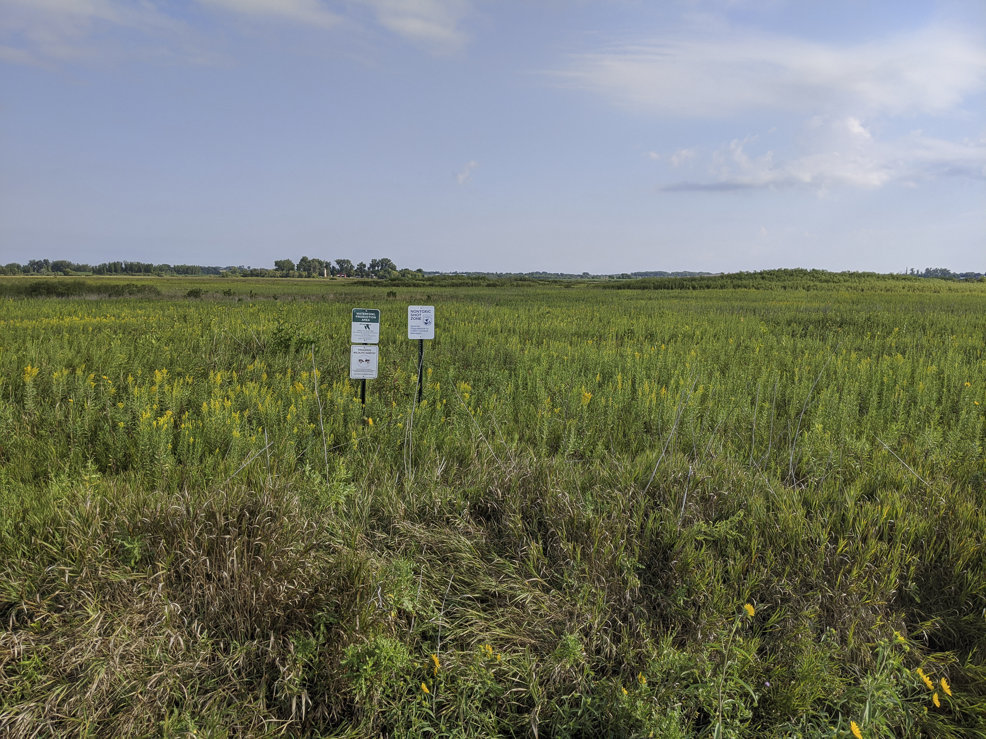 A restored prairie is in bloom on a waterfowl production area in Minnesota.